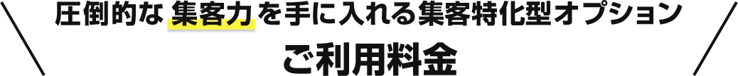 圧倒的な集客力を手に入れる集客型特化オプション ご利用料金
