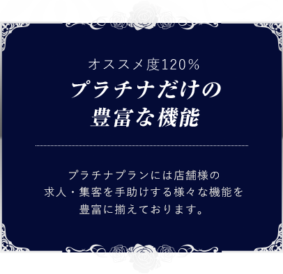 プラチナだけの豊富な機能