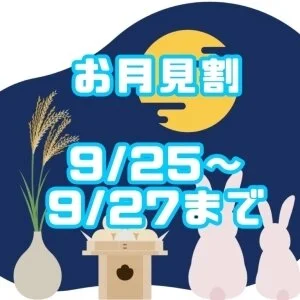 癒しのスパ佐野足利日光栃木市出張ワンルーム型メンズエステのメッセージ用アイコン