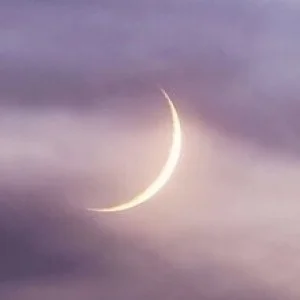 MOON LIGHT  ムーンライトのメッセージ用アイコン