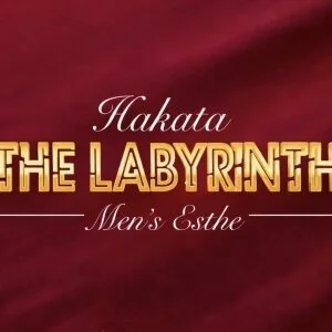 THE LABYRINTH〜ラビリンス〜のメッセージ用アイコン