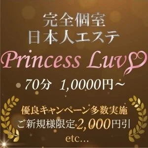 Princess Luv（プリンセスラヴ）のメッセージ用アイコン