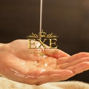 ＥＸＥ（エグゼ）のメッセージ用アイコン