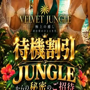 VELVET JUNGLE～ベルベットジャングル～のメッセージ用アイコン